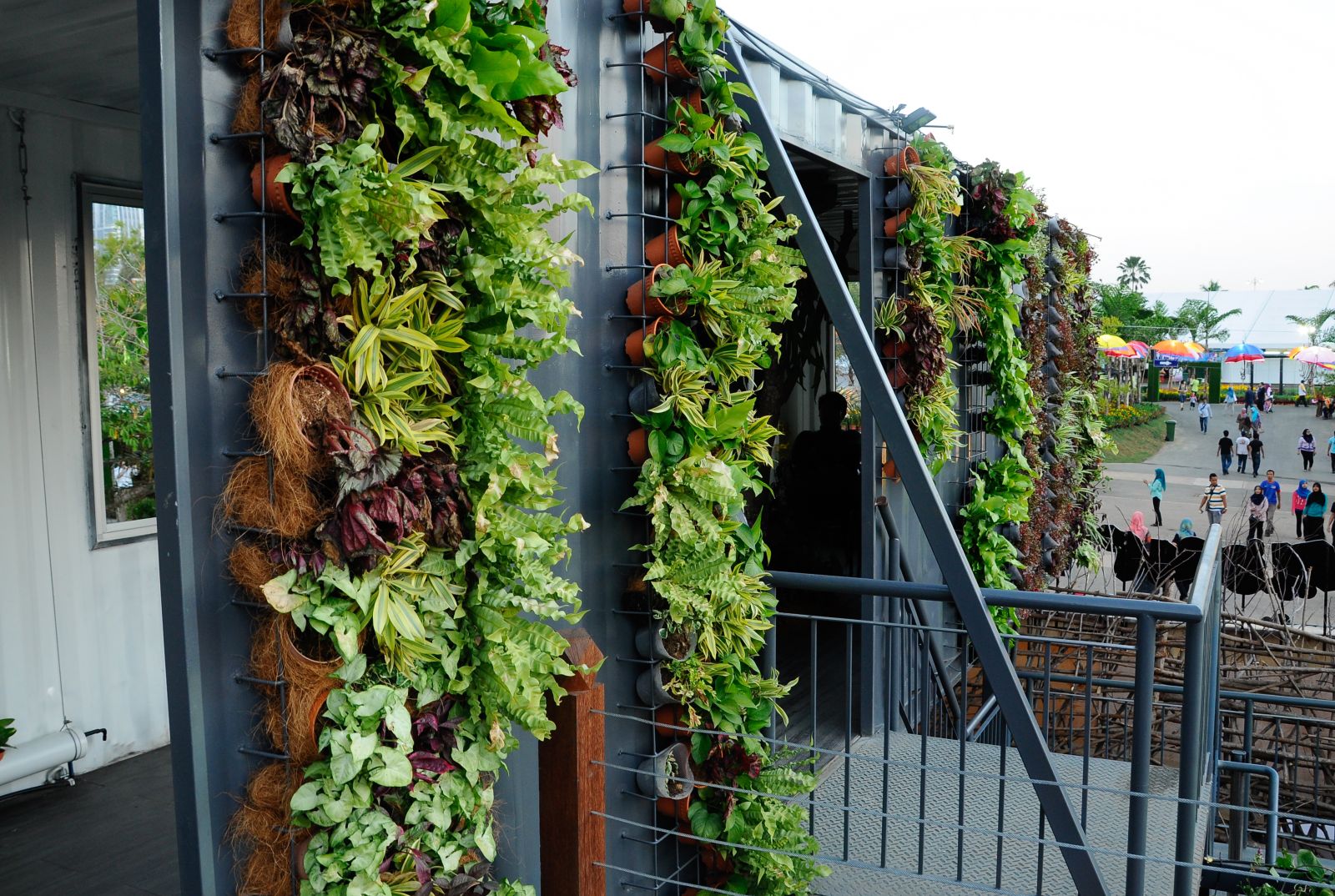 Bloemen en groenten opgehangen als een verticale tuin in plastic potten