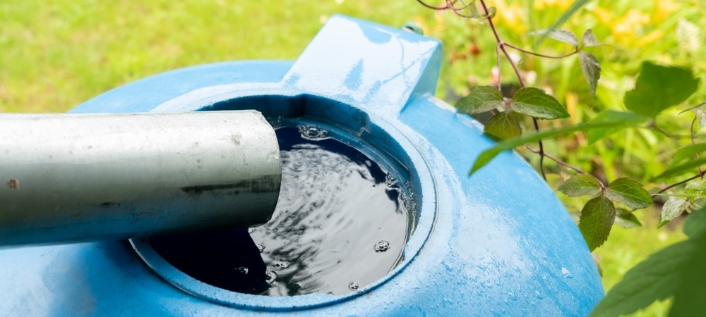 Regentonnen: Duurzaam watergebruik voor je tuin