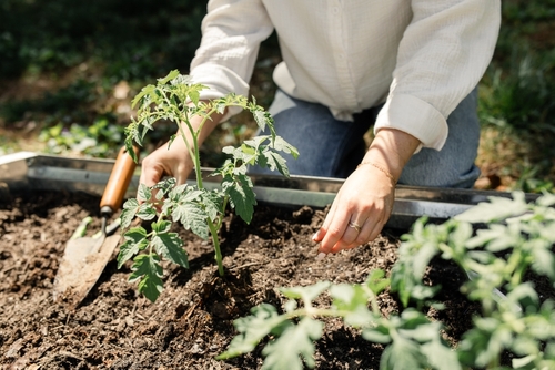 Ergonomic Hand Trowel