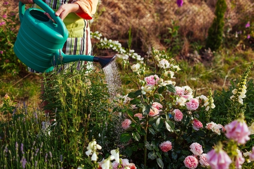 Reliable Watering Can