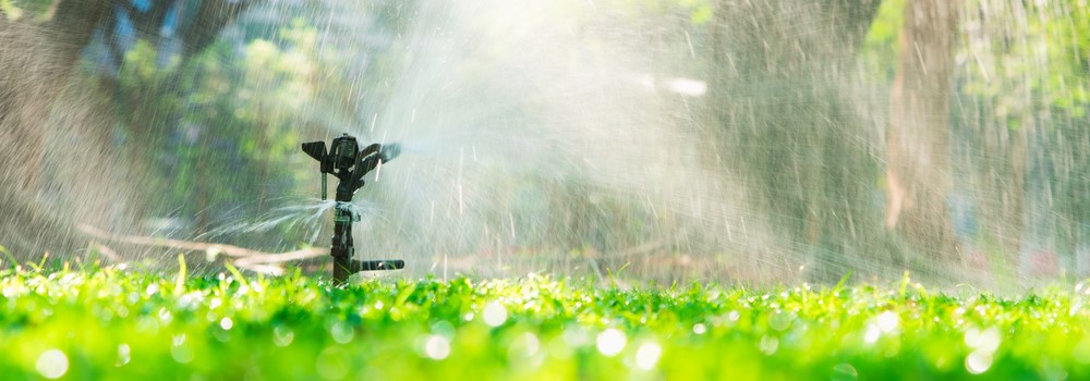 Tuinsproeiers: De sleutel tot een bloeiende tuin | Tips